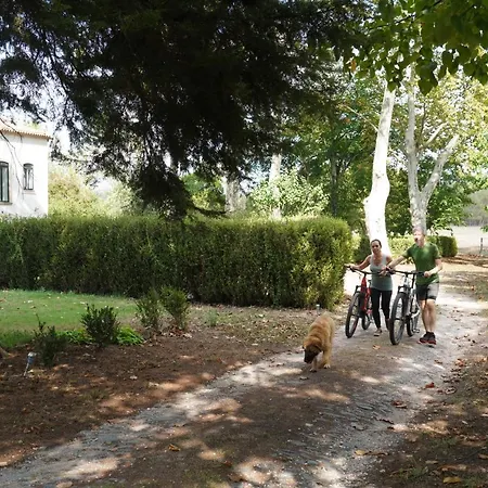 公寓 Quinta Do Areal *