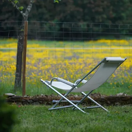 Quinta Do Areal 로우사