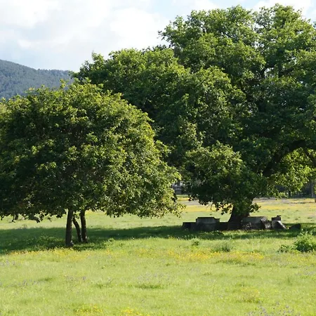 公寓 Quinta Do Areal *