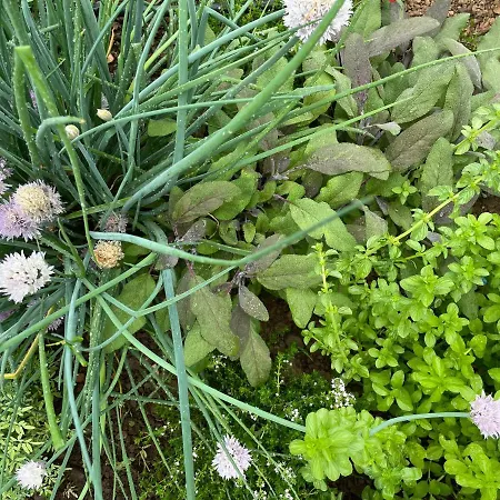 Quinta Do Areal 아파트