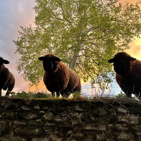 Quinta Do Areal 아파트 로우사