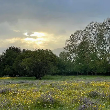 아파트 Quinta Do Areal *