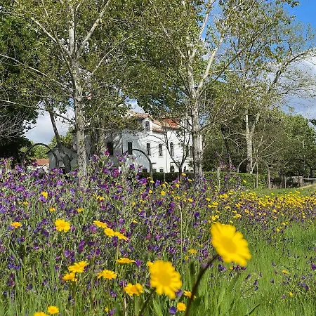 Quinta Do Areal * 로우사