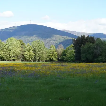 아파트 Quinta Do Areal 로우사