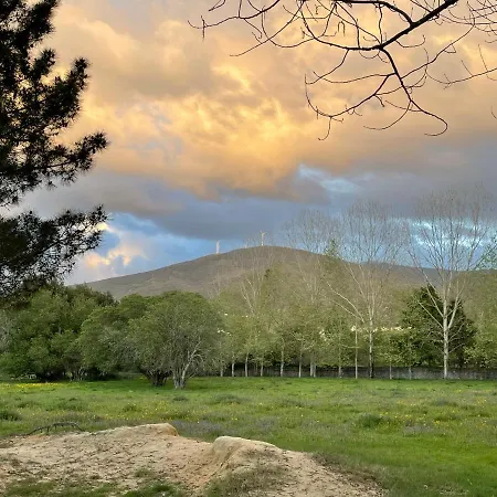 Quinta Do Areal 아파트 *