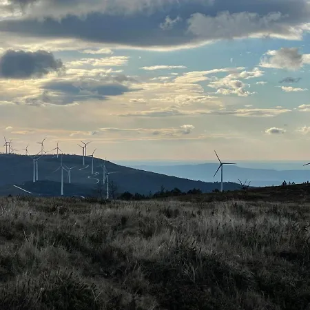 Quinta Do Areal * 로우사