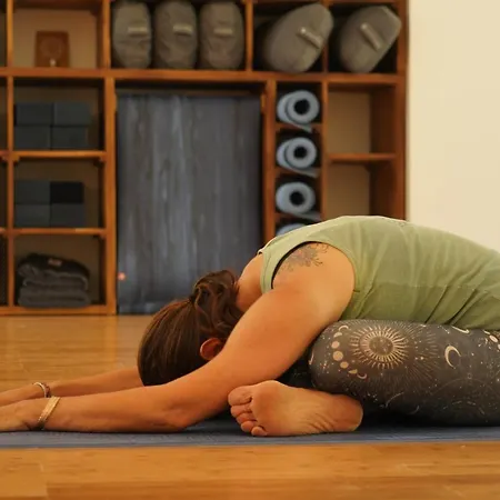 Quinta Do Areal 아파트