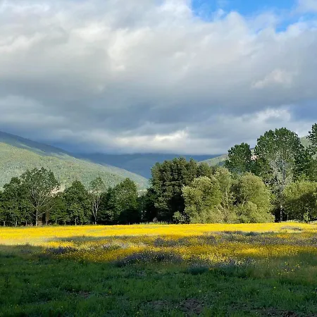 Quinta Do Areal * 로우사