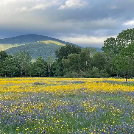 아파트 Quinta Do Areal 로우사