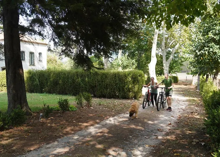 Daire Quinta Do Areal *