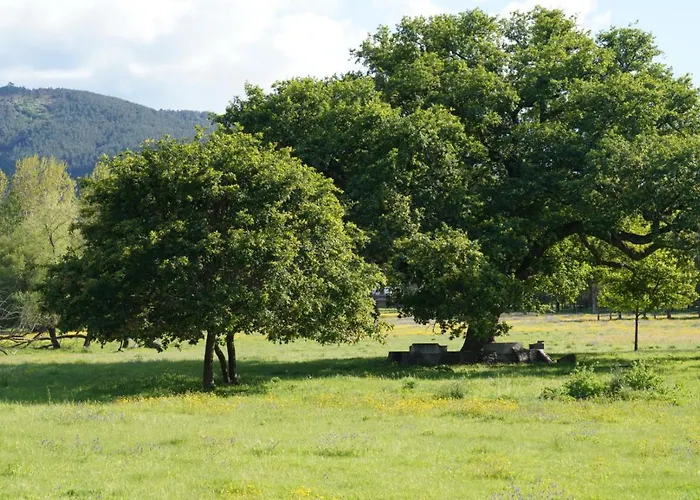 Daire Quinta Do Areal *
