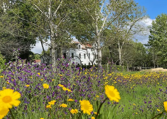 Quinta Do Areal * Lousã