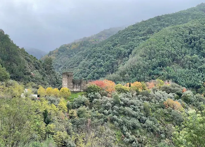 Quinta Do Areal Daire Lousã
